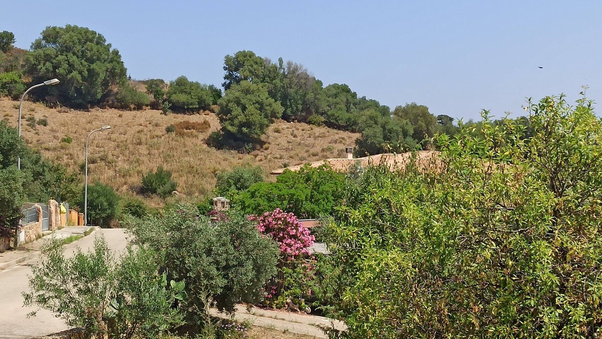 Schifoni House | La Casa di Piera - B
