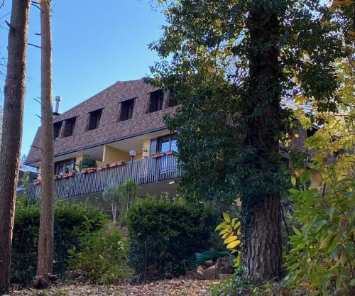 Appiano Gentile Apartment | LA CASA NEL BOSCO, DI MARI