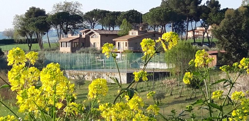 Misano Adriatico Bed & Breakfast | LA CASA NELLA PRATERIA
