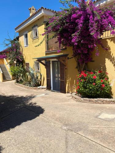 Lu Bagnu Apartment | La Casa tartaruga Mia