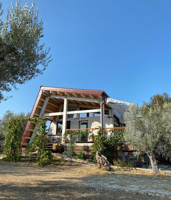 Pollutri House | La Casa tra gli Ulivi - Cottage in legno