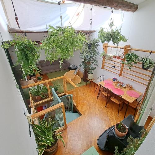 Venezia Nuova Apartment | la casa verde nel centro storico