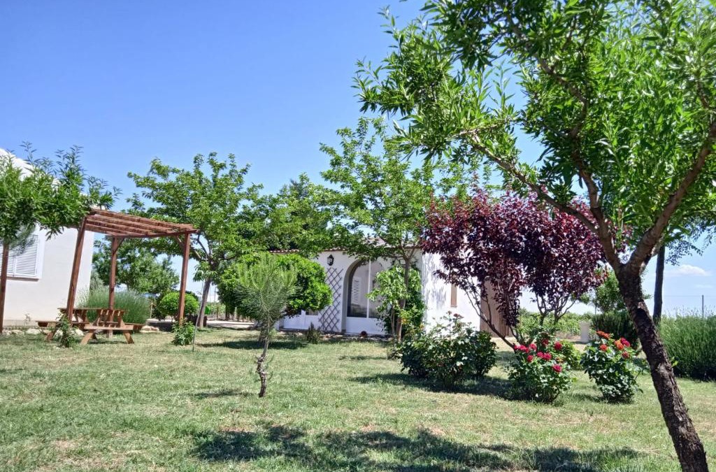 Socuellamos House | La Casita de los Almendros