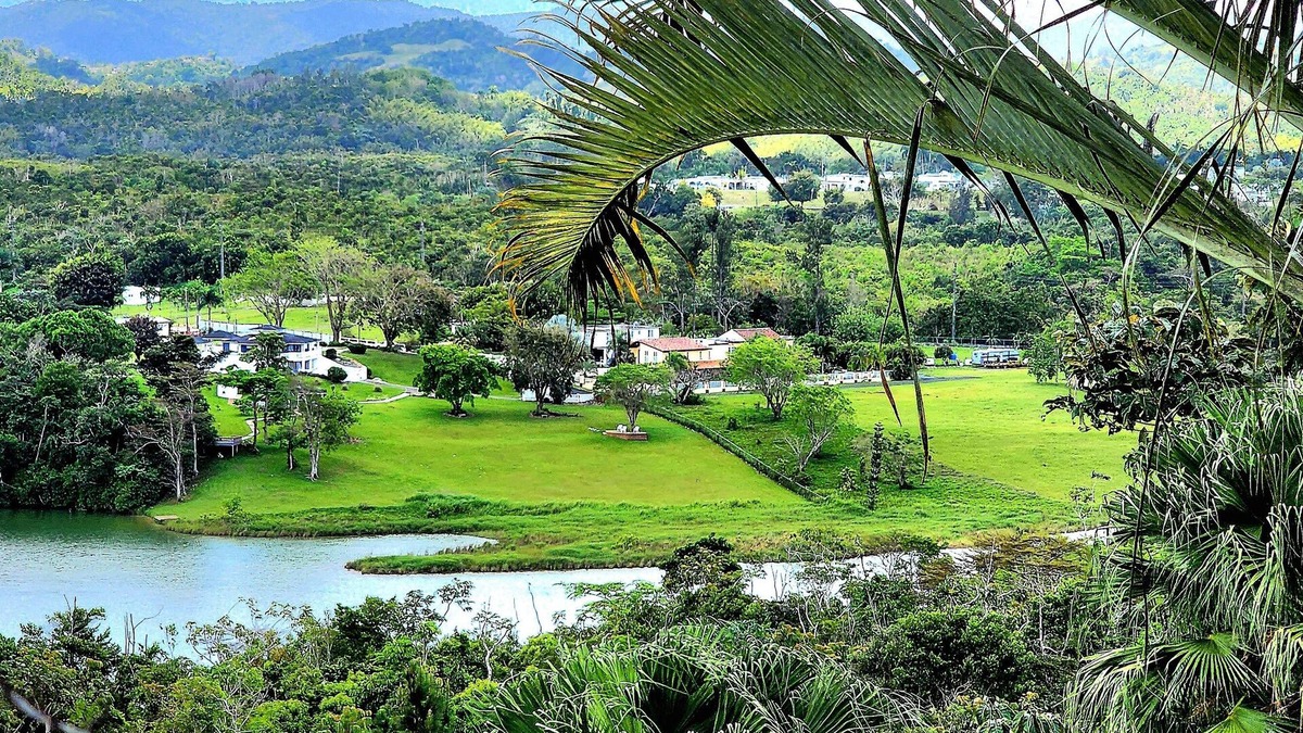 Cidra House | LA CASITA DEL LAGO