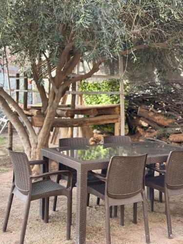 Tinogasta Apartment | La casita del Olivo