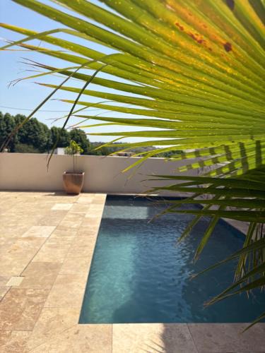 Paraza Villa | La cave