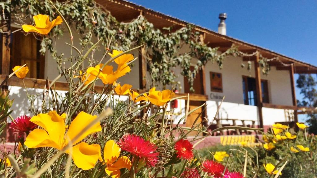 Putre Cabin | La Chakana Lodge
