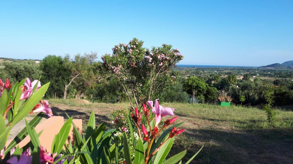 Bari Sardo Apartment | La Collina degli Ulivi