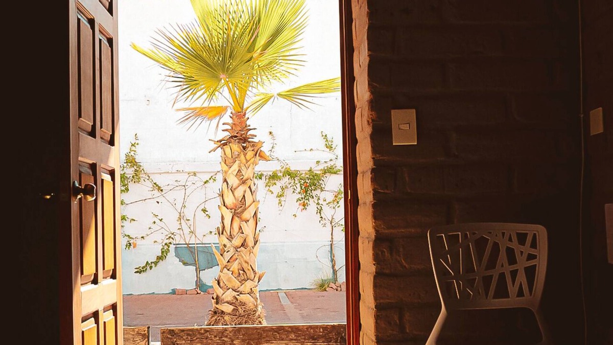 Arcos de San Miguel Hotel | La Conspiración Hotel
