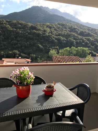 Fluminimaggiore House | La Corbula - Casa Vacanze - Q5992