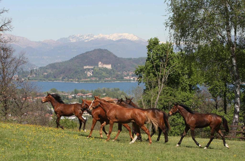 Dormelletto Bed & Breakfast | La Cucchetta