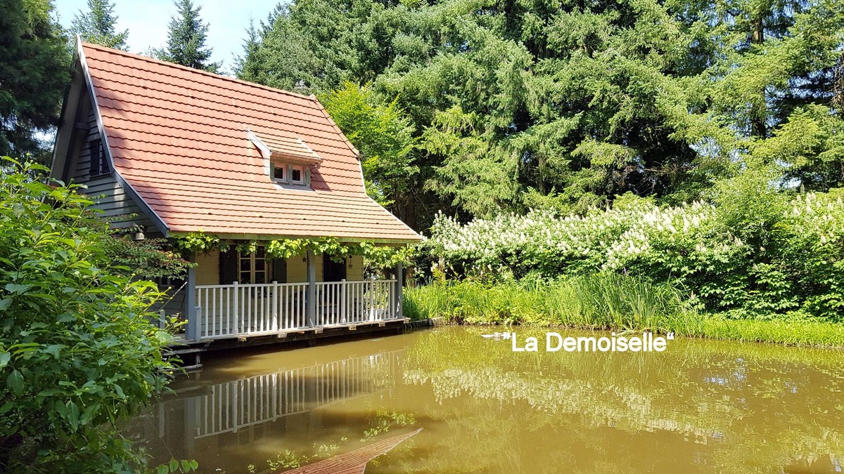 Strueth Ski Chalet | "La Demoiselle" Oct/Nov wonderful colours in the park-X'Mas deco-3 days possible