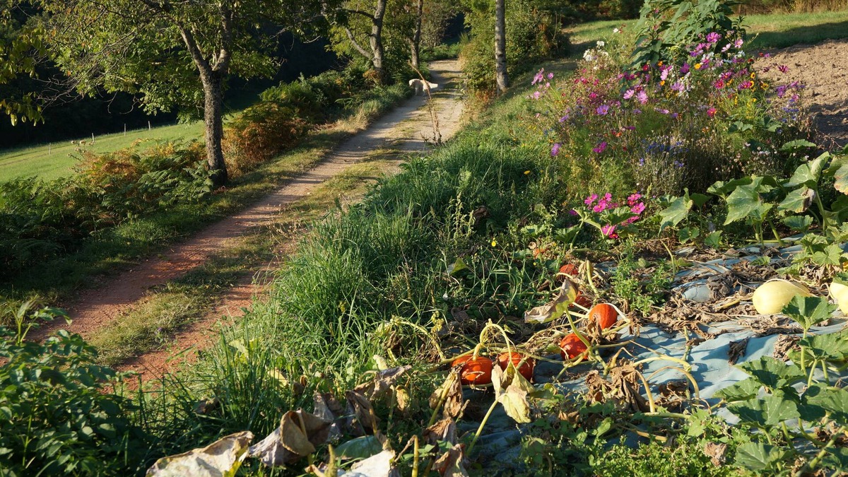 Montromant Bed & Breakfast | La Ferme du Thiollet