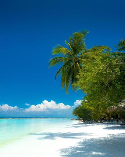 Himmafushi Hotel | La Isla Bonita Maldives