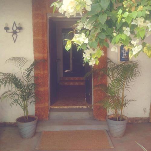 Anjuna Bed & Breakfast | La Joia Anjuna