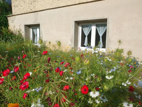 Cleon-d'Andran House | La maison des lavandes