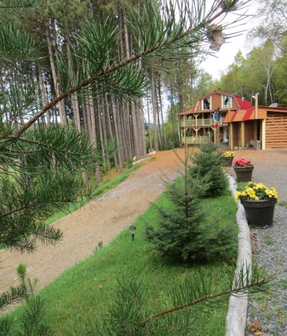Mauricie Bed & Breakfast | La maison sous les arbres