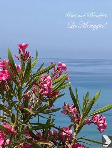 Marina di Pisciotta Bed & Breakfast | La Meriggia B&B