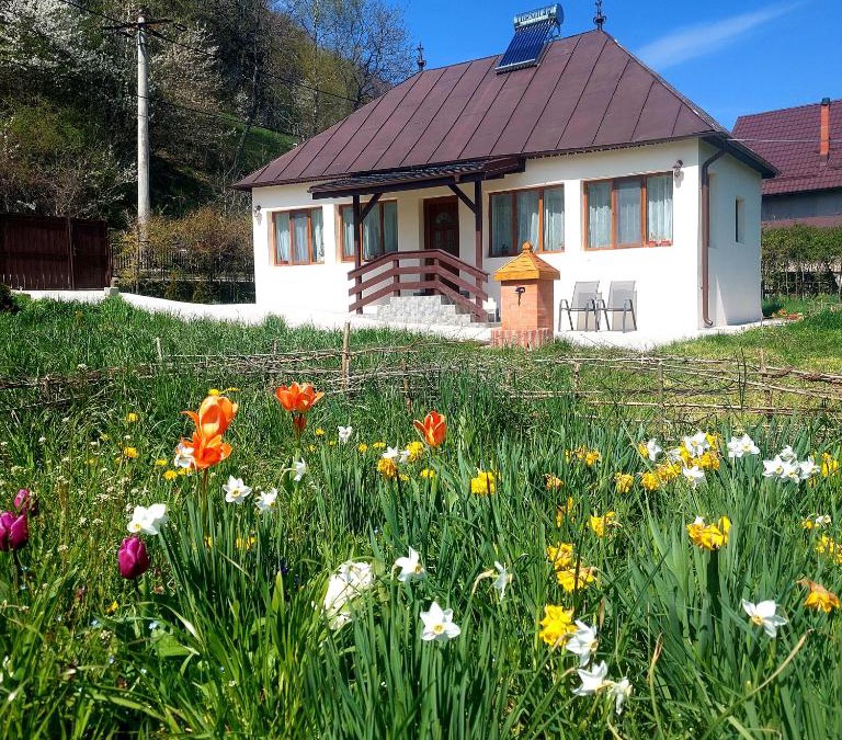 Valea Mare-Pravat House | La numărul 100, Nămăești