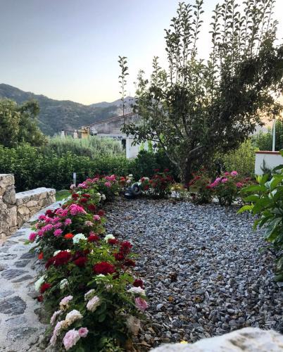 Soccorso Bed & Breakfast | LA PERGOLA - Affitta Camere
