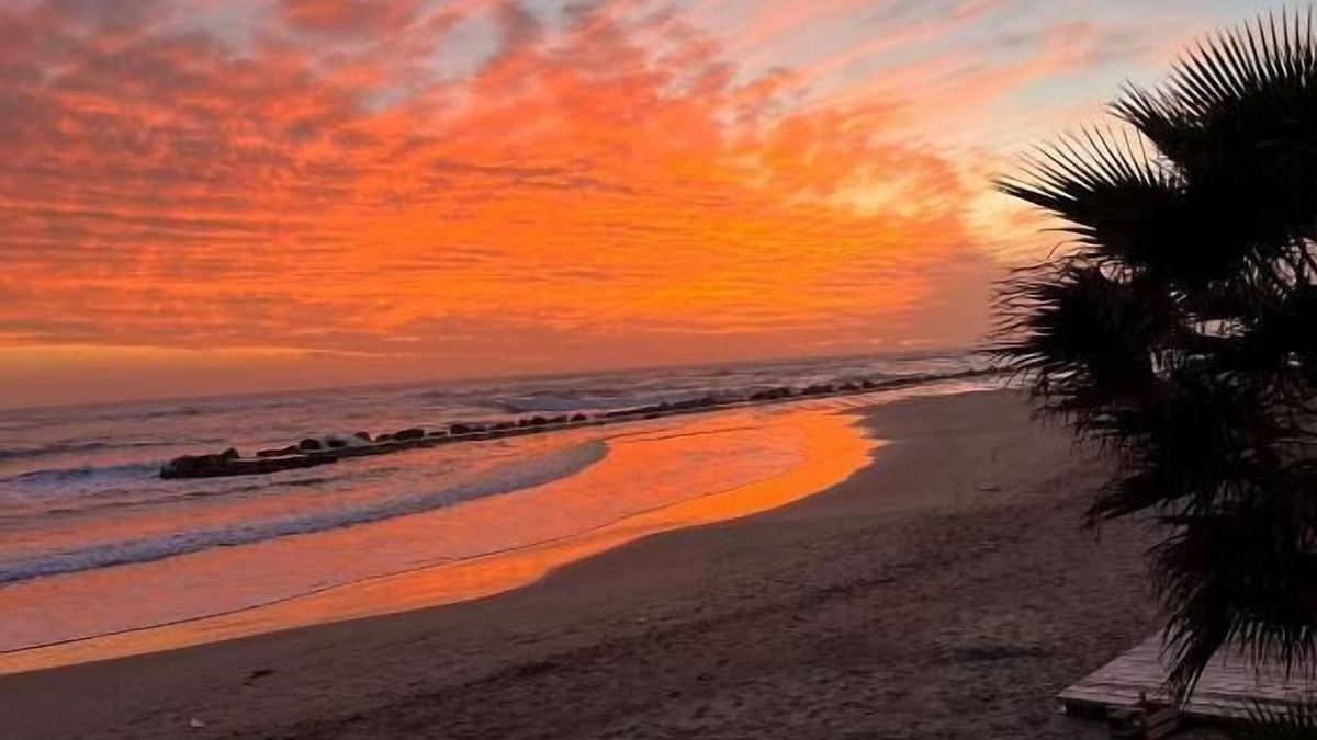 Anzio Bed & Breakfast | La piazzetta Anzio