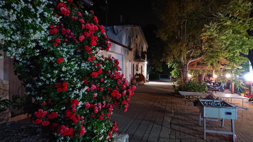 Montenero di Bisaccia House | La Quiete