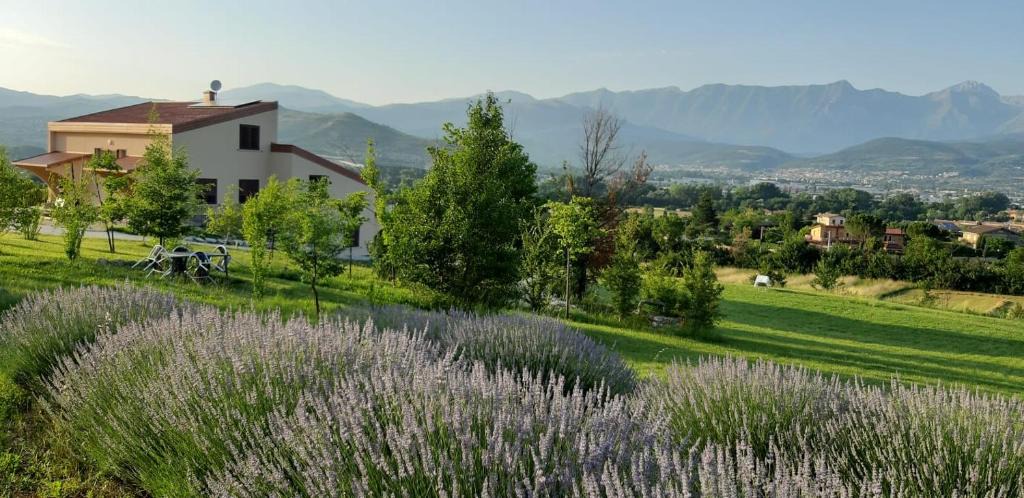 Cavalletto House | La Radice
