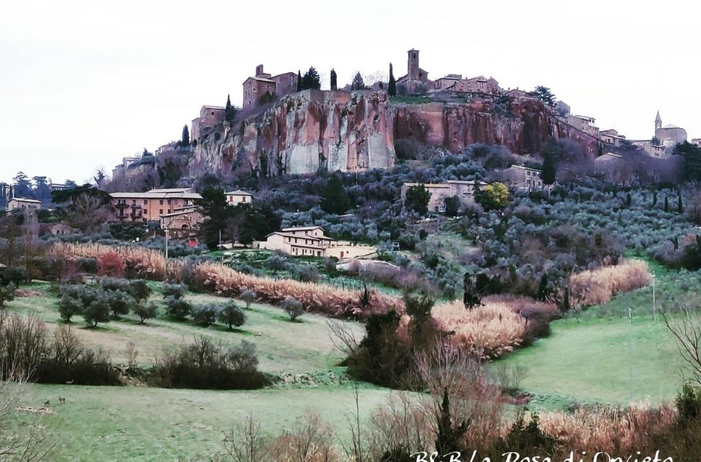 Sferracavallo Bed & Breakfast | La Rosa di Orvieto