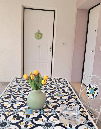 Castrovillari Apartment | La Rosa Verde