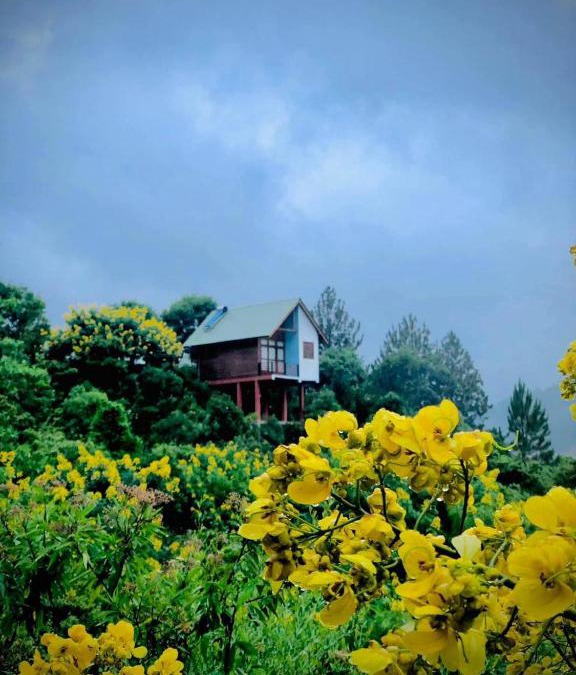 Bandarawela Hotel | La Seran Eco Resort