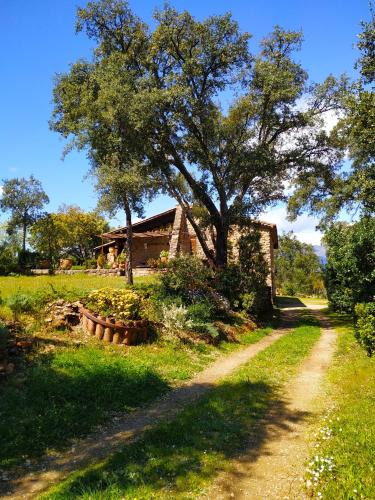 Perales del Puerto House | La Simona Casa Rural