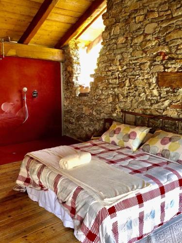 Pessinetto Apartment | La torretta