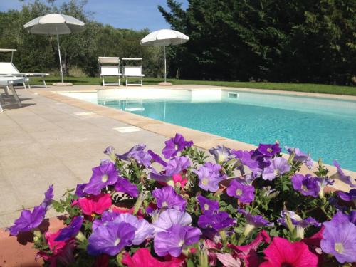 Castagneto Carducci Villa | La Toscanella