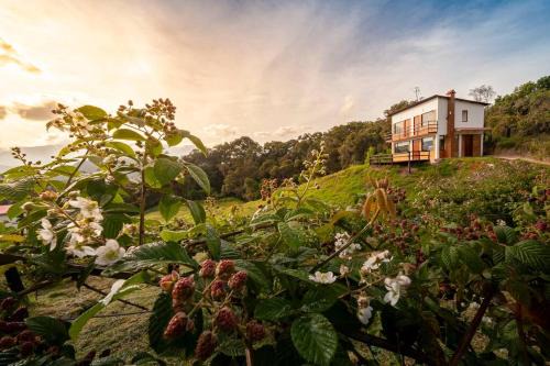 Arcabuco Ski Chalet | La Tribuna de los Andes Cabin 1