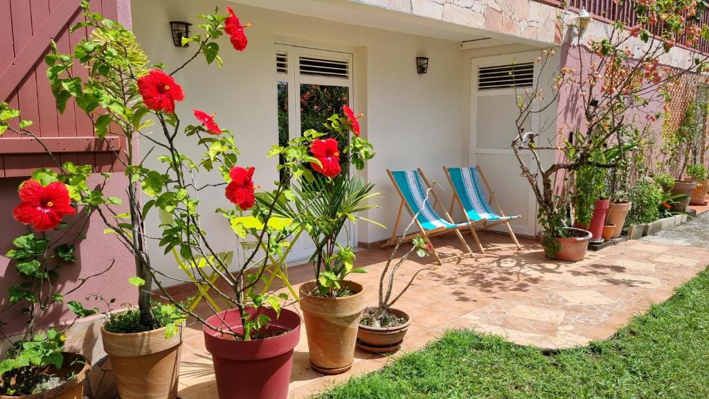 Riviere-Pilote Apartment | La Visite Tropicale