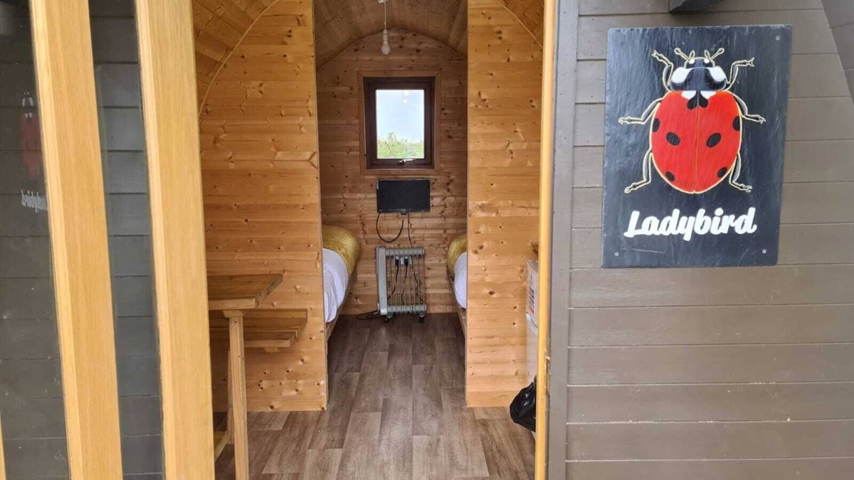 Boston Apartment | ladybird glamping pod basic hut