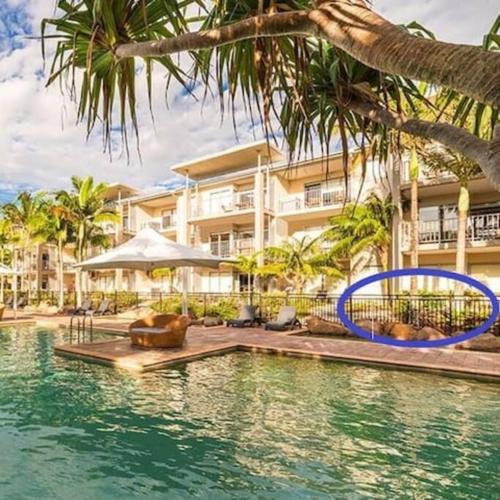 Kingscliff Apartment | Lagoon Pool Access Salt Resort & Spa 1br (Peppers)