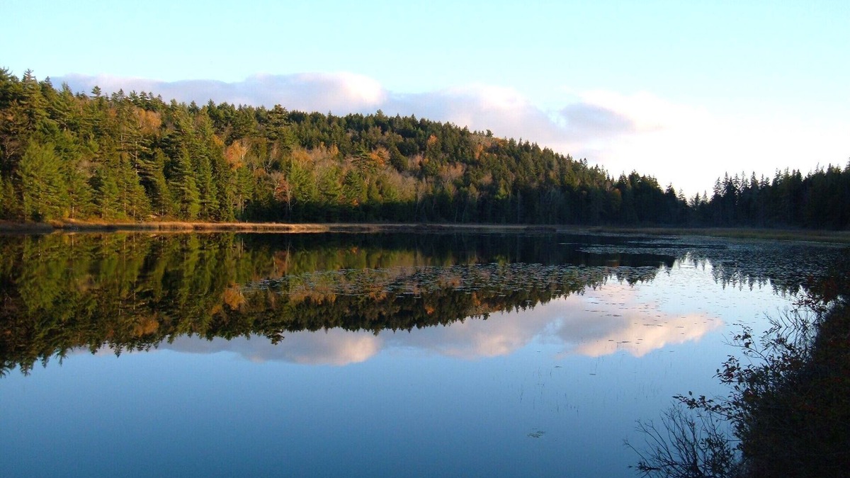 Seal Cove House | Lake Front Cottage Facing Acadia National Park on the "Quiet Side" of Mt. Desert