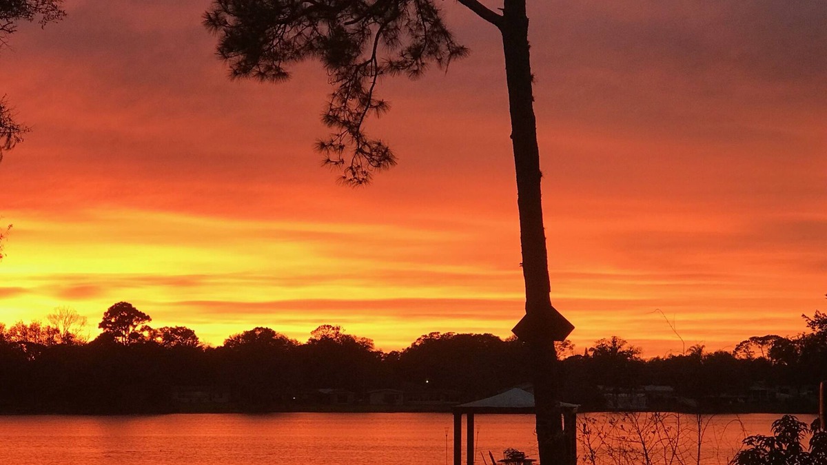 Forest City House | Lake Front Suite -Close to all Attractions