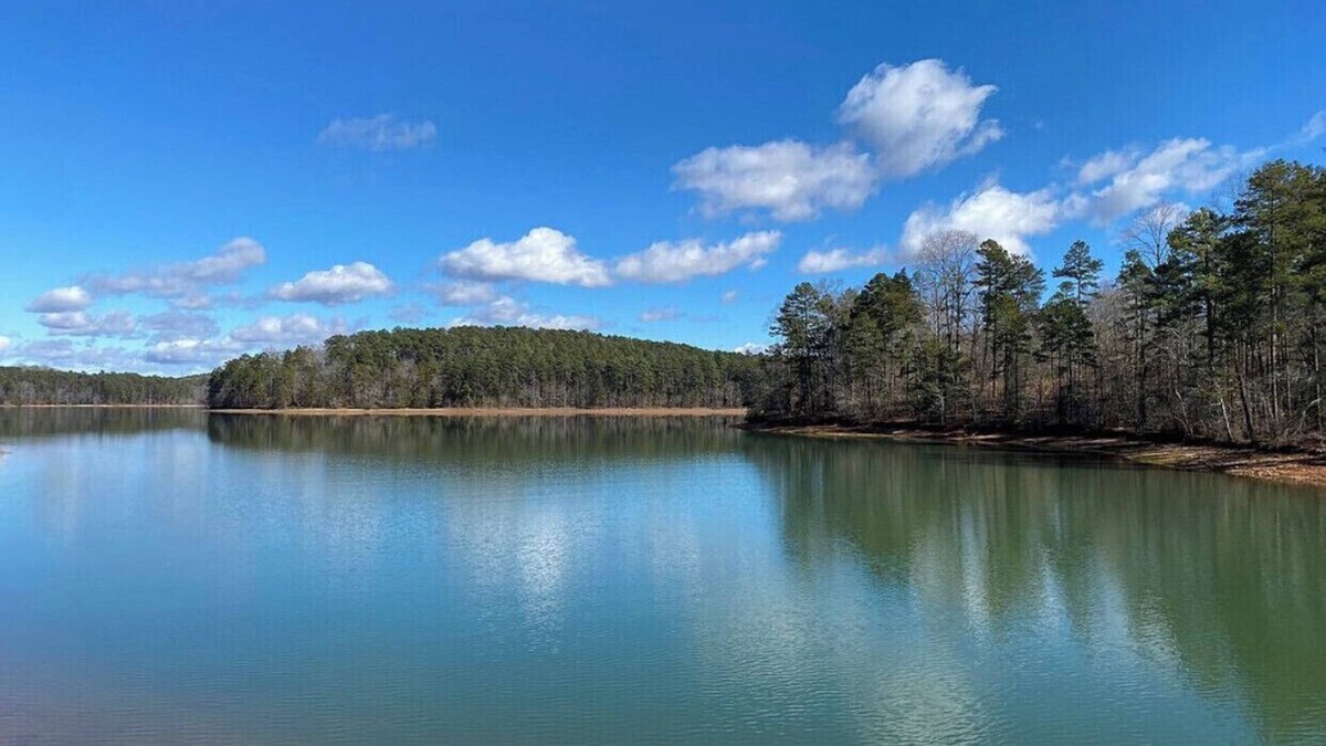 Townville House | "Lake Hartwell, Waterfront Cottage with Views, near Clemson"