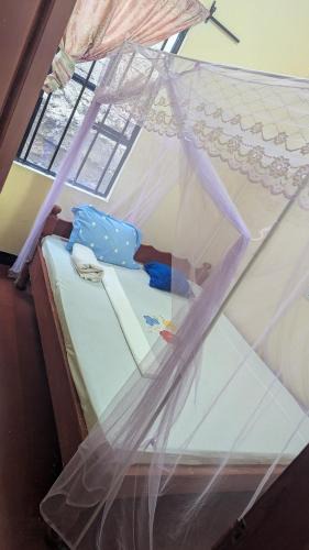 Lake Natron Bed & Breakfast | Lake natron Naibala Bed&Breakfast