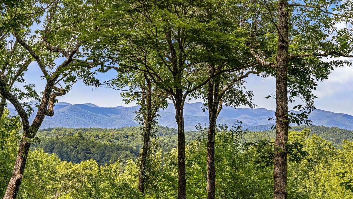 Lake Toxaway House | LAKE TOXAWAY ESTATES-Lake & Mountain Views