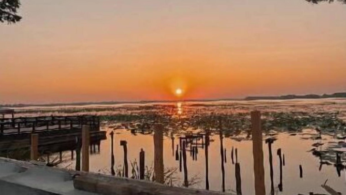 Samburg Apartment | Lake view room on Reelfoot Lake