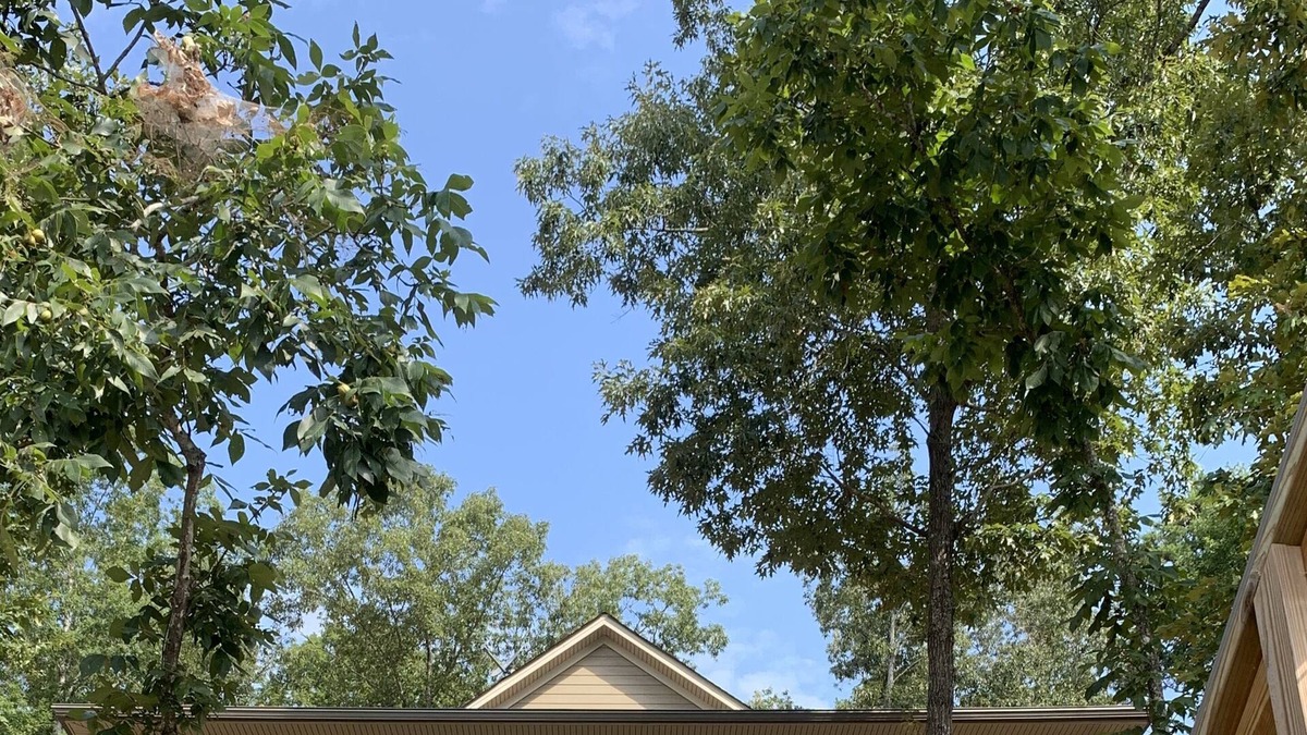 Wedowee House | Lakefront Beauty On Lake Wedowee in Deep Water