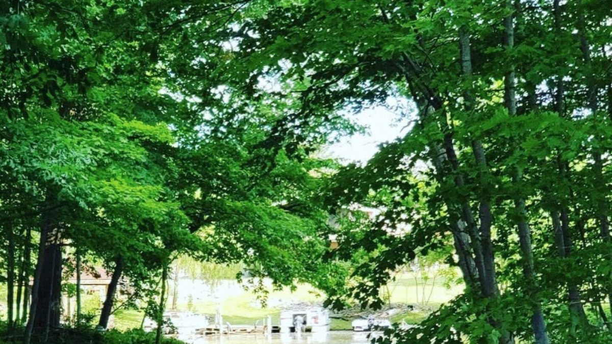 Frontier House | Lakefront Cottage in a rare serene setting for nature lovers on all sports lake.