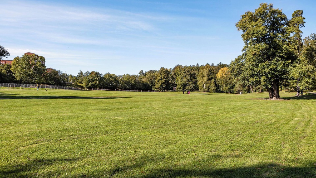 Albano House | Lakefront Getaway in Hagaparken Central Stockholm