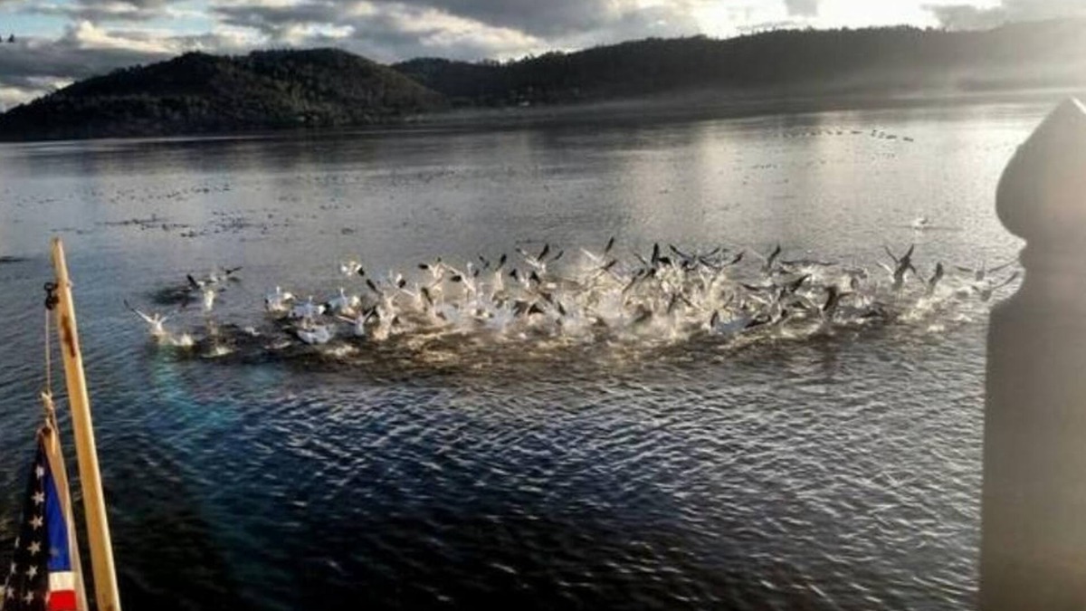 Clearlake Park House | Lakefront Guest Suite with Spa and Dock