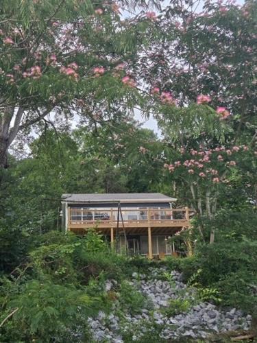 Clanton House | Lakefront on Lake Mitchell!