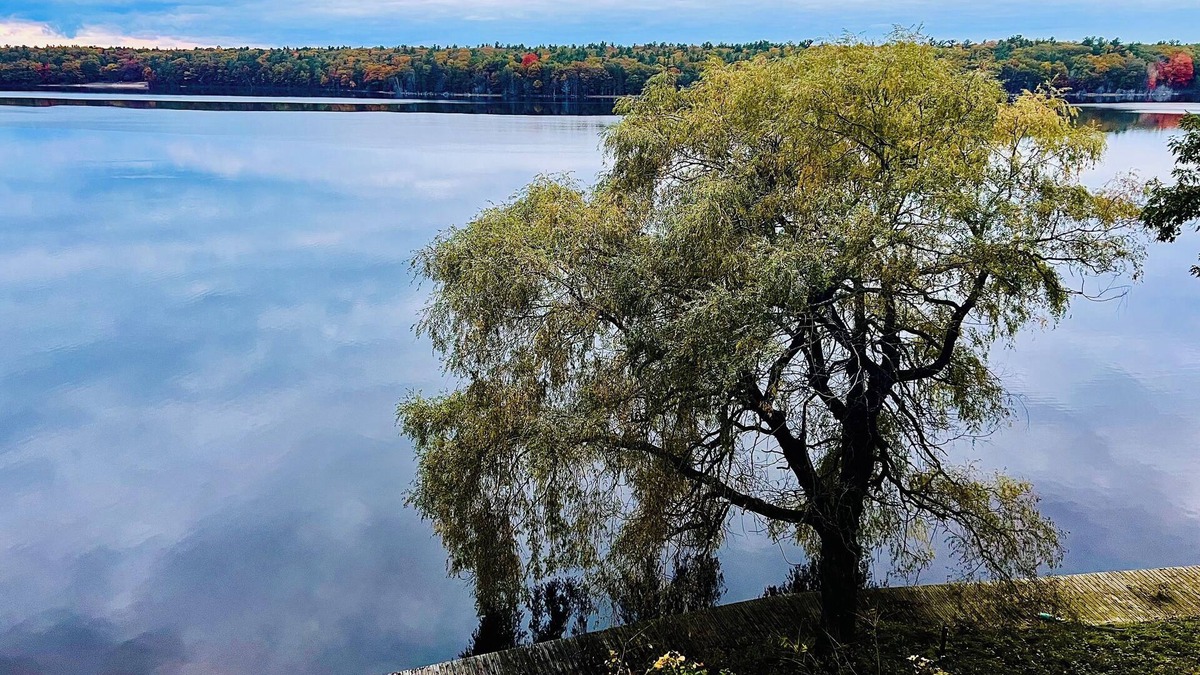 Whitehall House | Lakeside Retreat - Peak Fall Colors, Fire Pit, Hiking, Near Lake MI