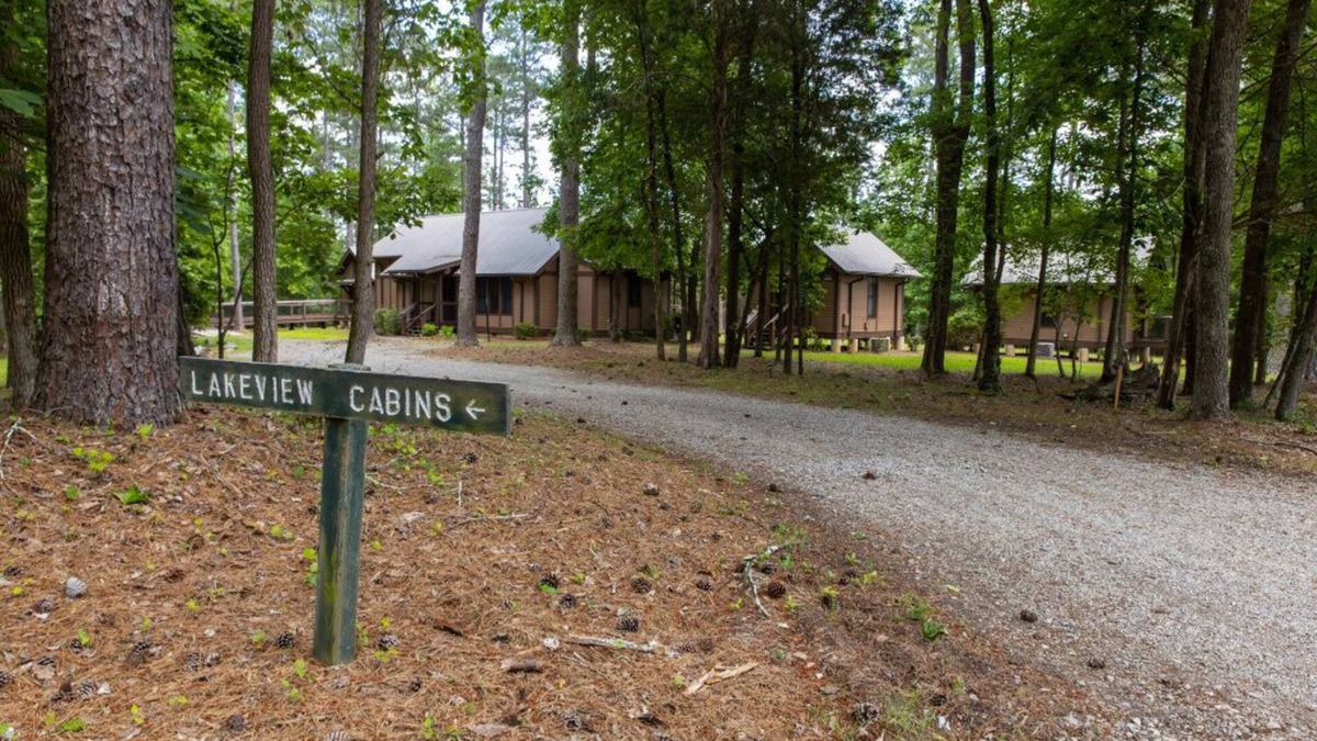 Woodstock House | Lakeview cabin: Perfect for large groups & ball teams minutes from lakepoint!
